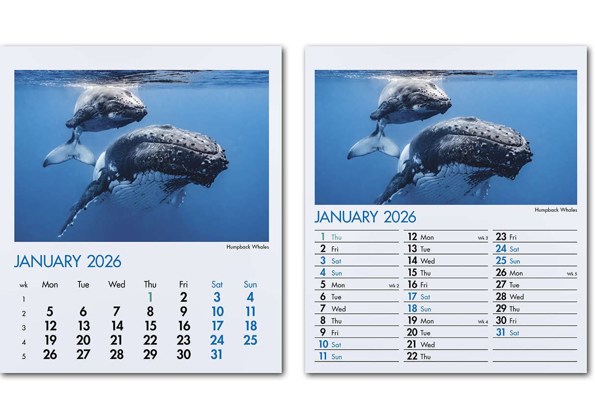 Blue Planet Mini Desk Calendar