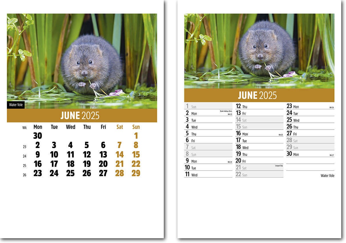 Wildlife Mini Desk Calendar