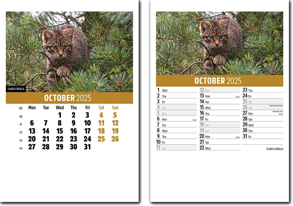 Wildlife Mini Desk Calendar