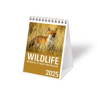 Wildlife Mini Desk Calendar