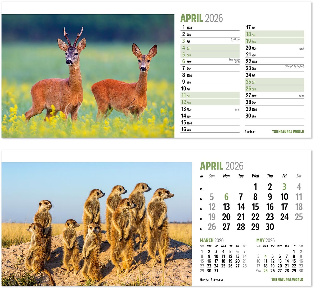 The Natural World Desk Calendar