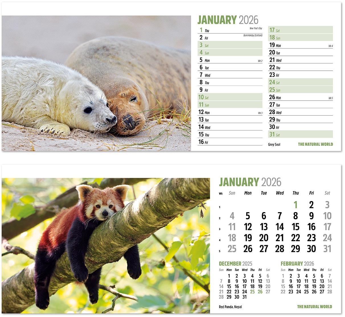 The Natural World Desk Calendar