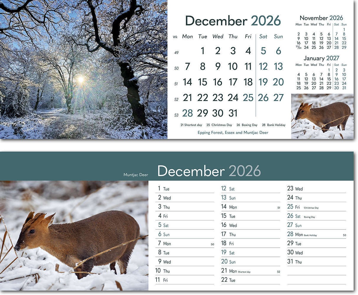 Rural Britain Premium Lined Easel Desk Calendar