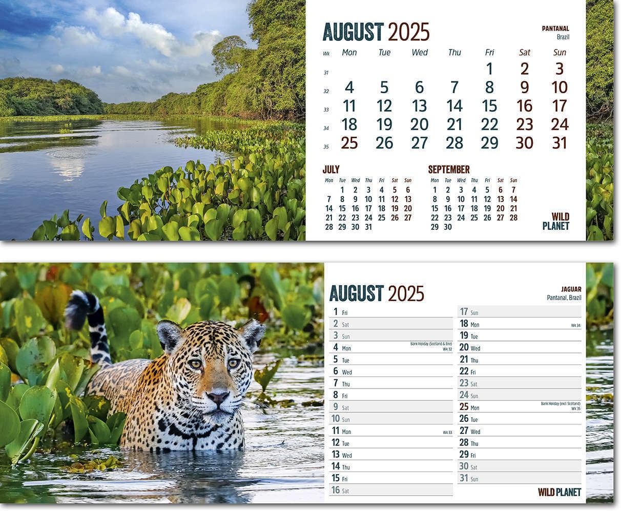 Wild Planet Note Station Desk Calendar 