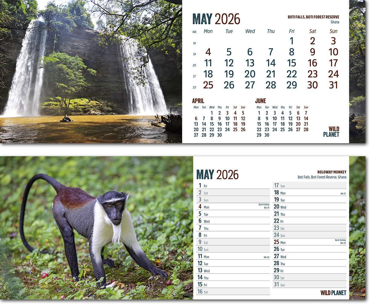 Wild Planet Note Station Desk Calendar 