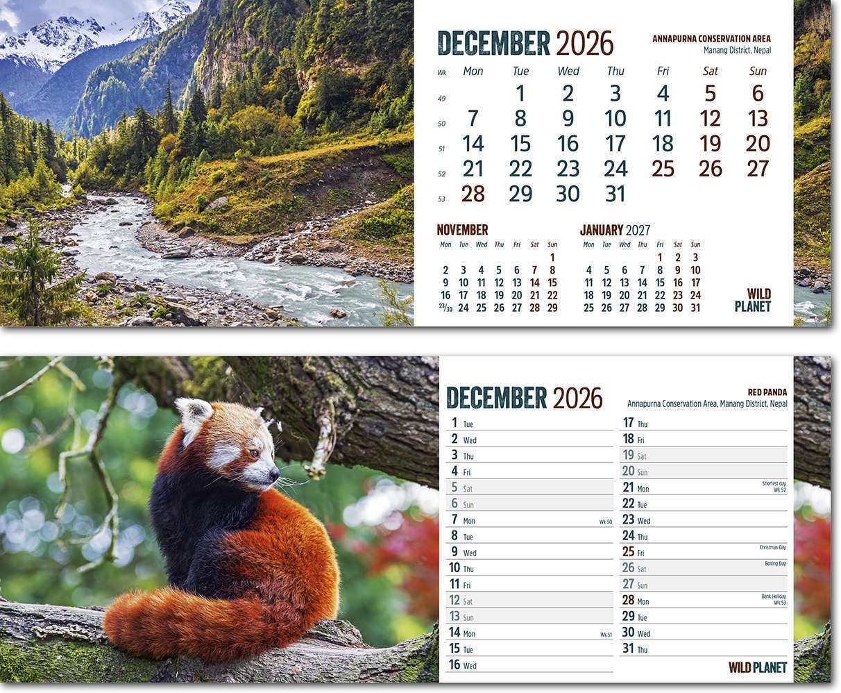 Wild Planet Premium Lined Easel Desk Calendar