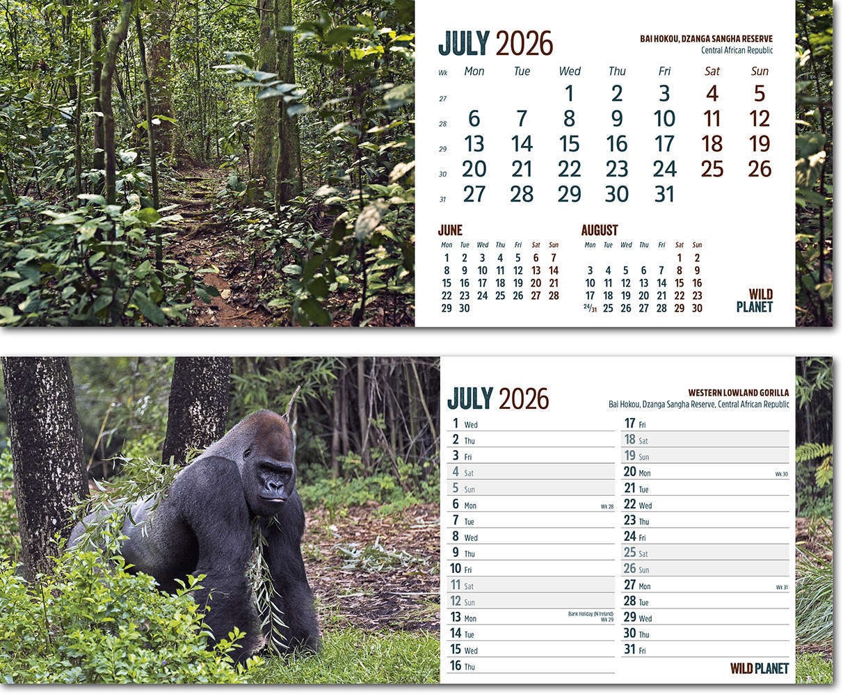 Wild Planet Desk Calendar