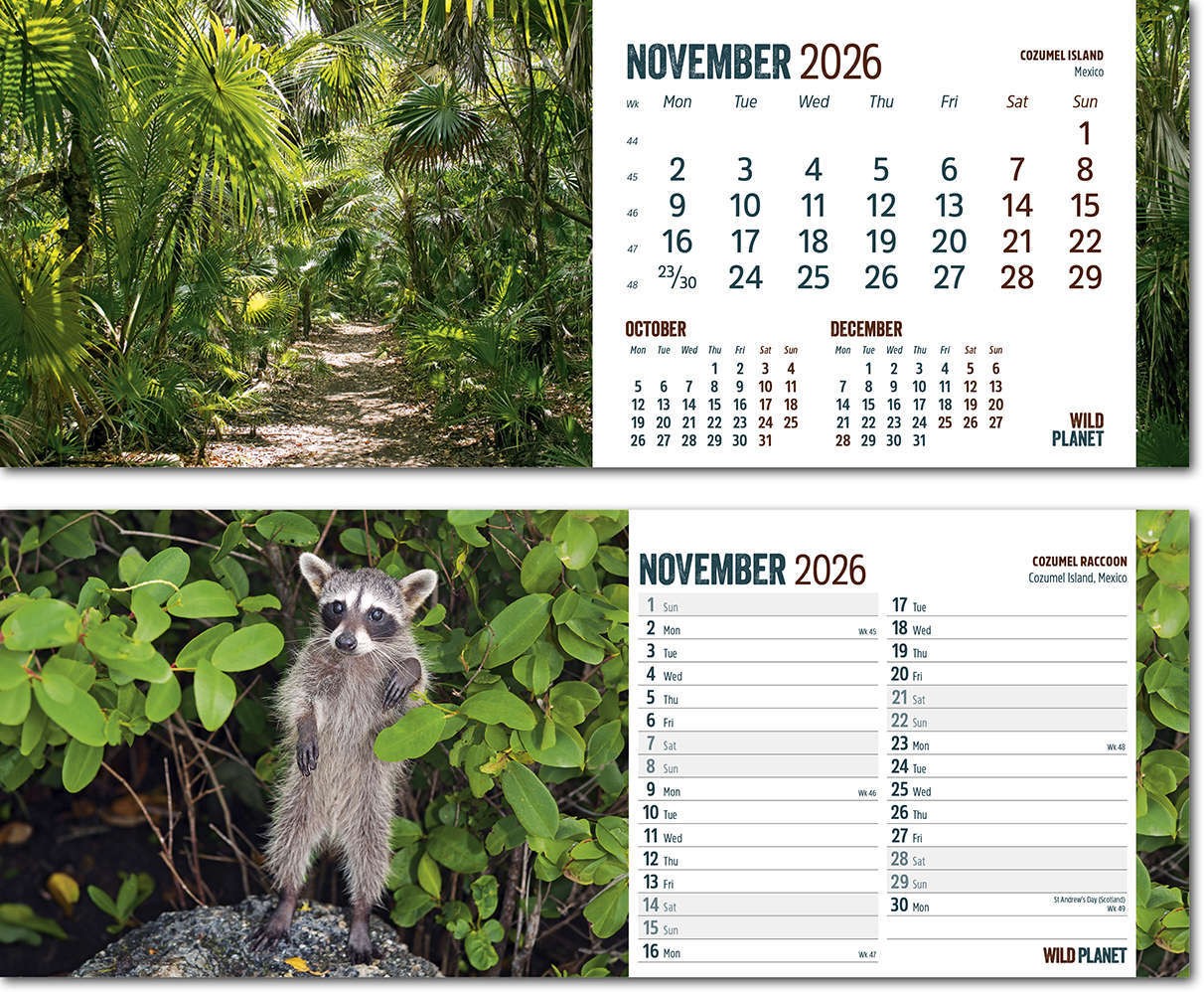 Wild Planet Desk Calendar