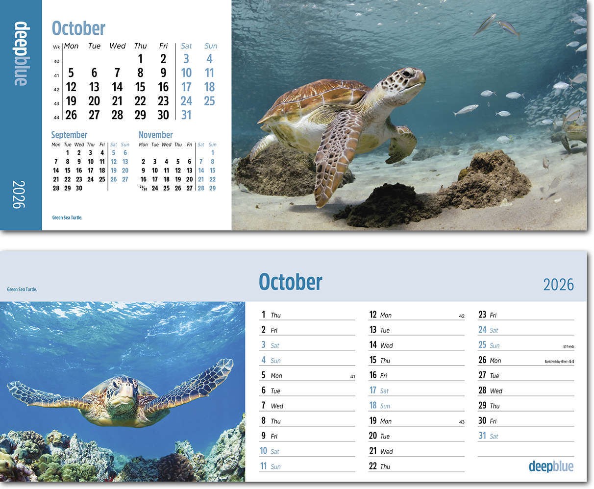 Deep Blue Premium Lined Easel Desk Calendar