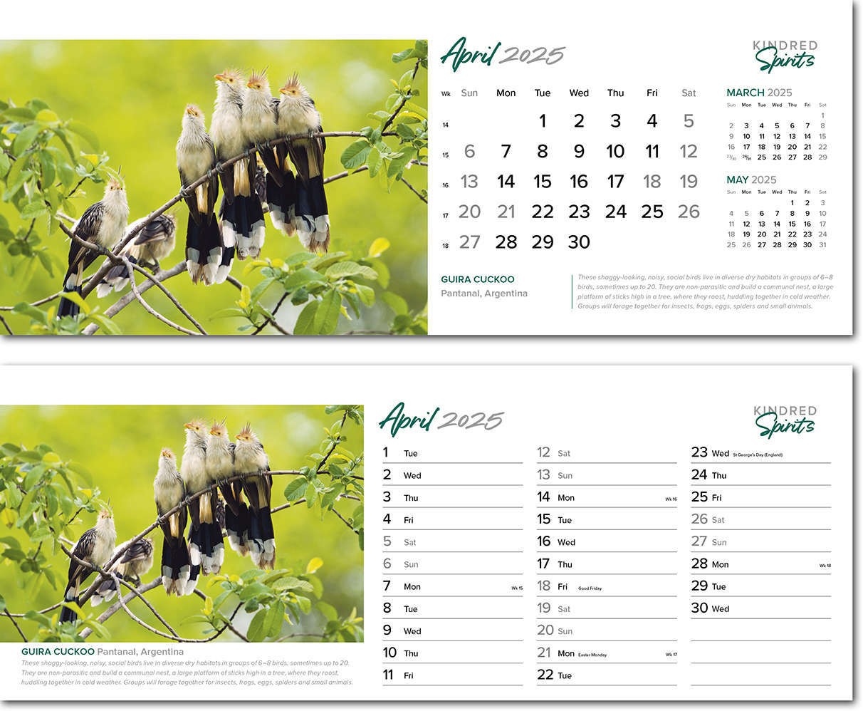 Kindred Spirits Note Station Desk Calendar