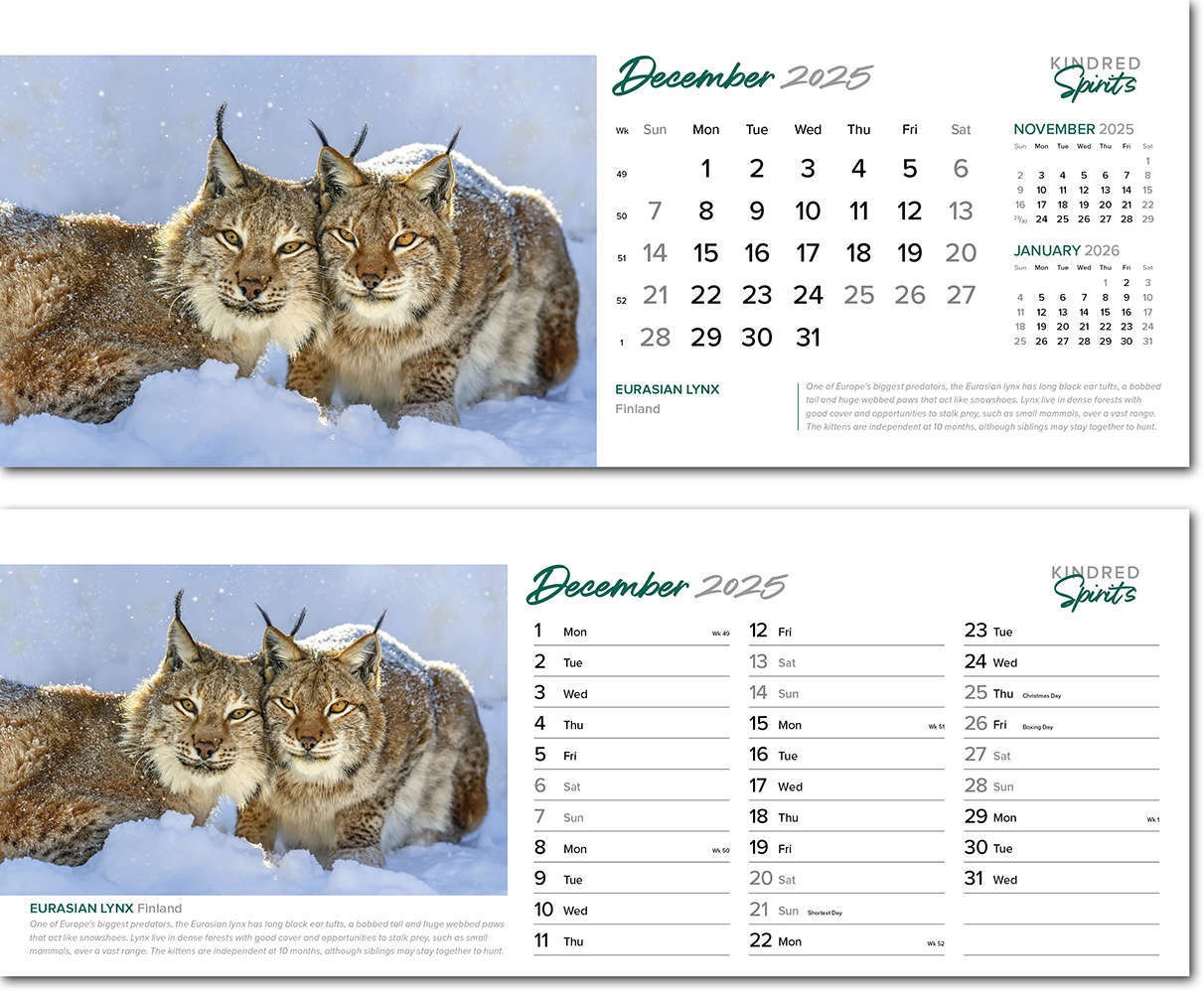 Kindred Spirits Note Station Desk Calendar