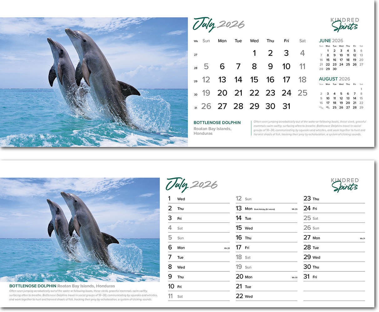 Kindred Spirits Note Station Desk Calendar