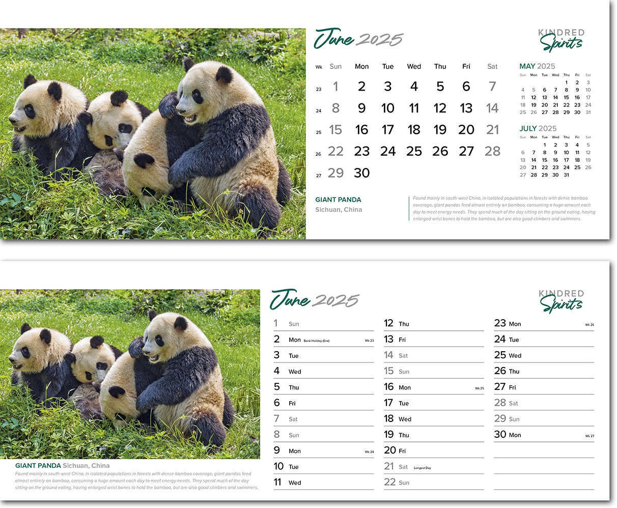 Kindred Spirits Note Station Desk Calendar