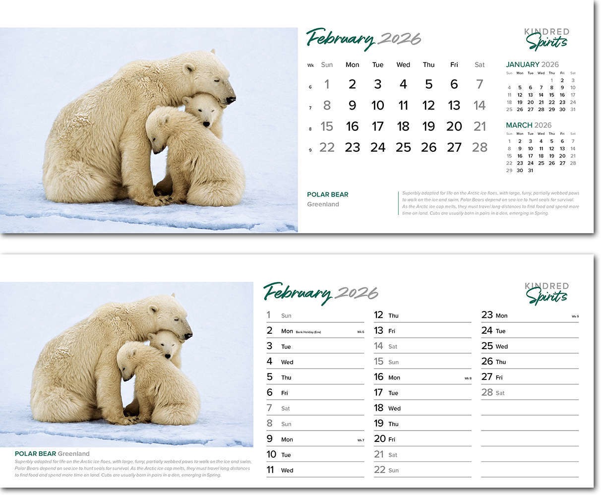 Kindred Spirits Premium Lined Easel Desk Calendar