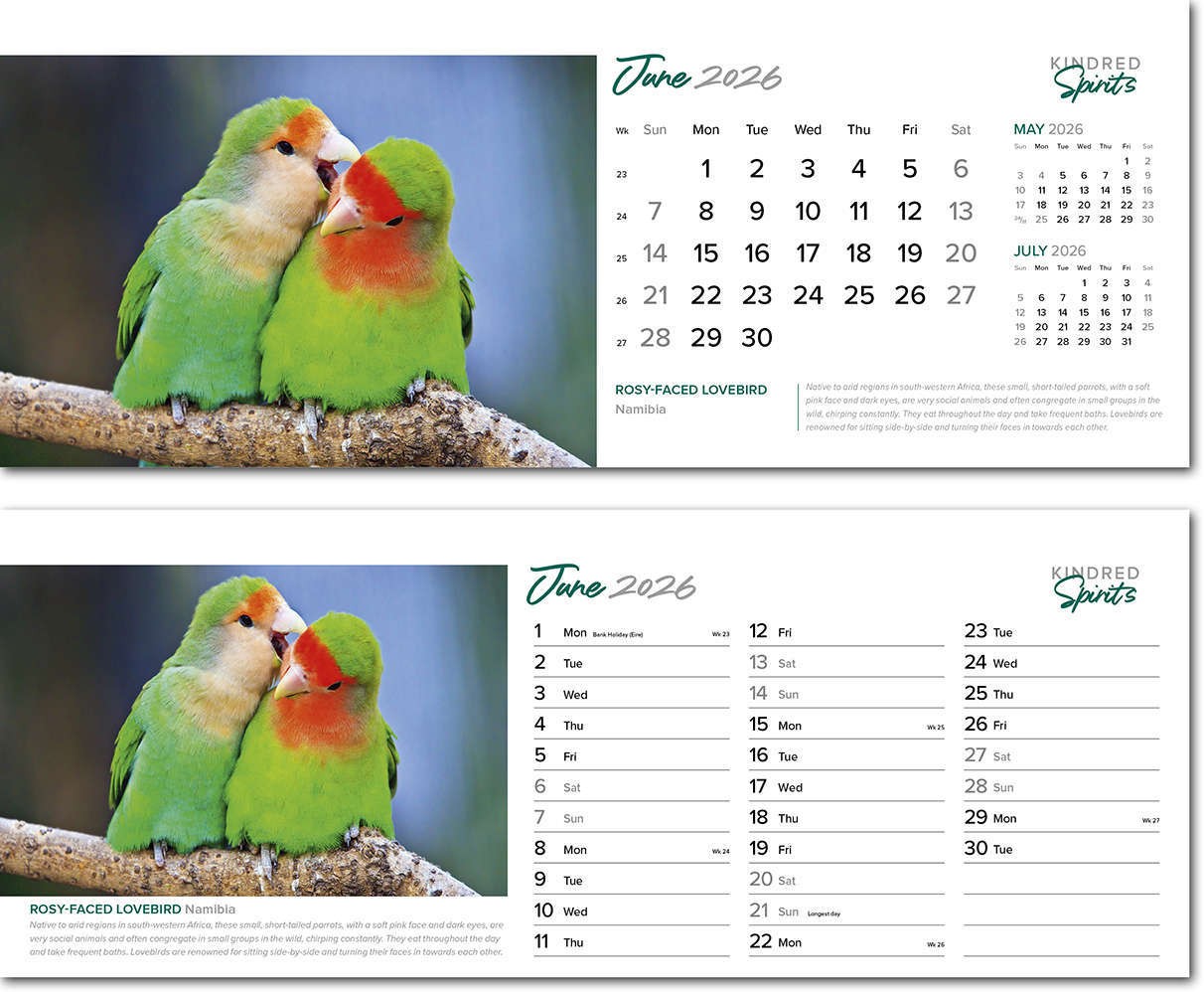 Kindred Spirits Task Station Desk Calendar