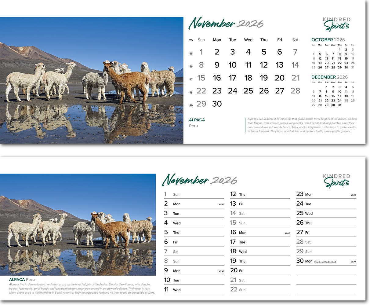 Kindred Spirits Task Station Desk Calendar