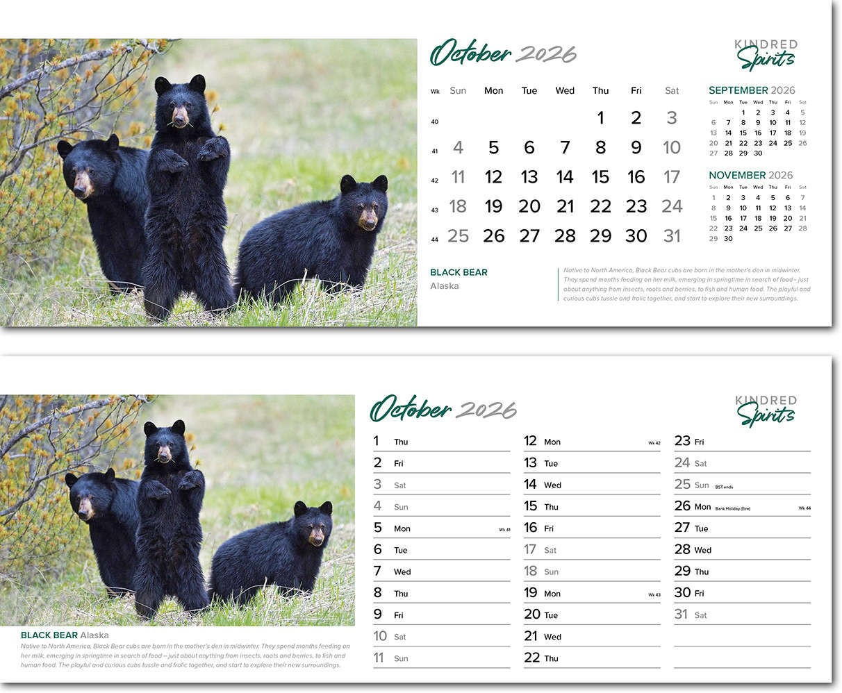 Kindred Spirits Task Station Desk Calendar