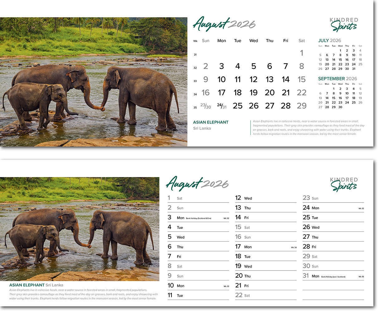 Kindred Spirits Desk Calendar