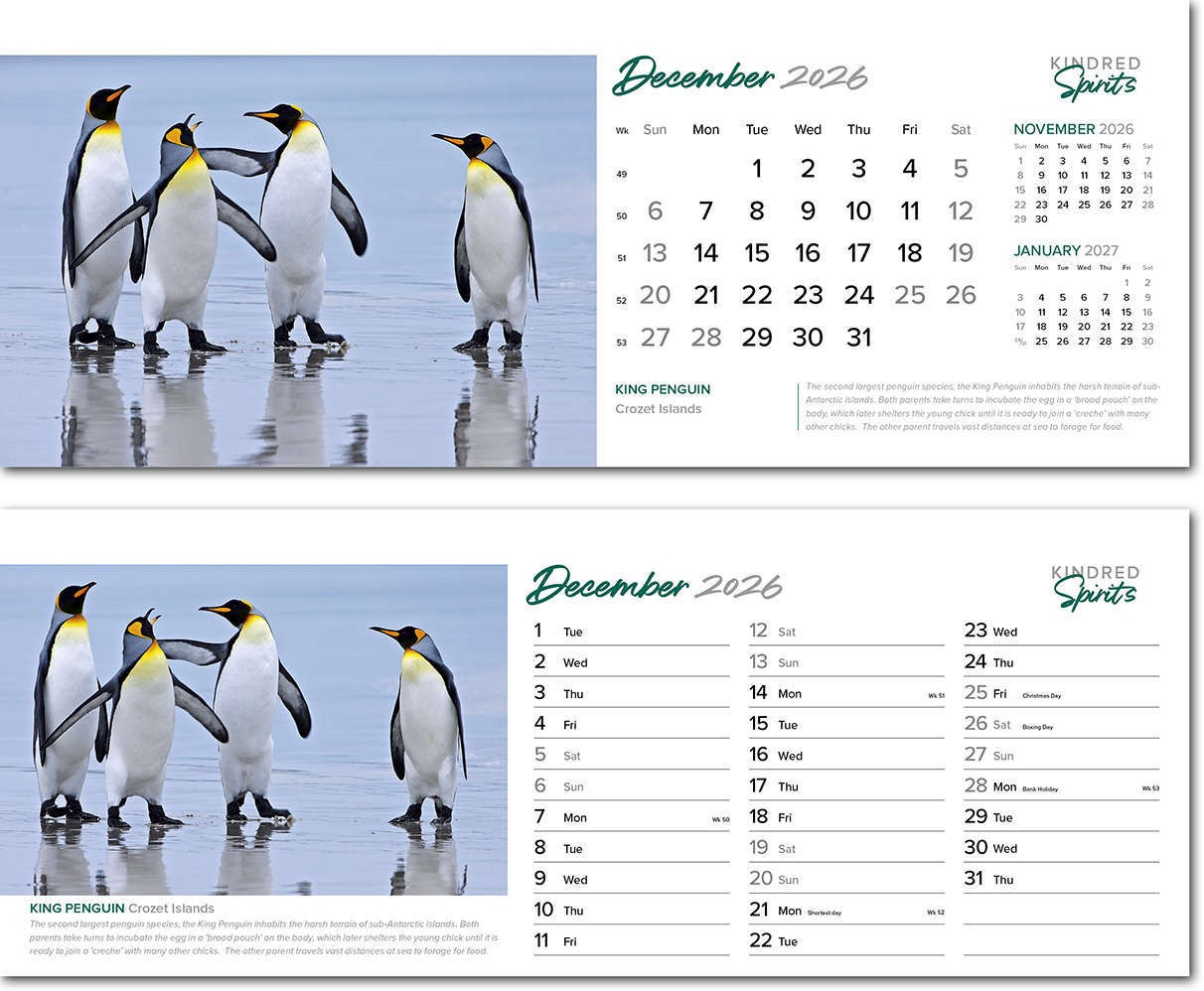 Kindred Spirits Desk Calendar