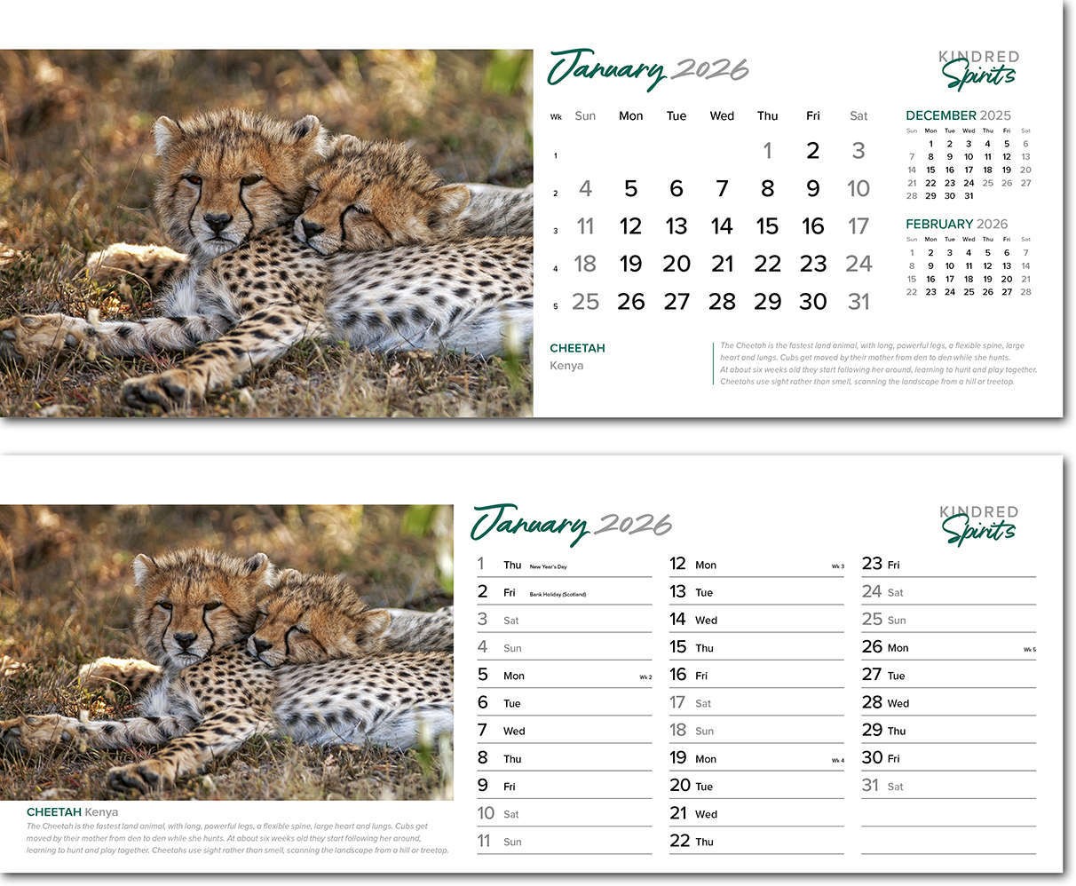 Kindred Spirits Desk Calendar