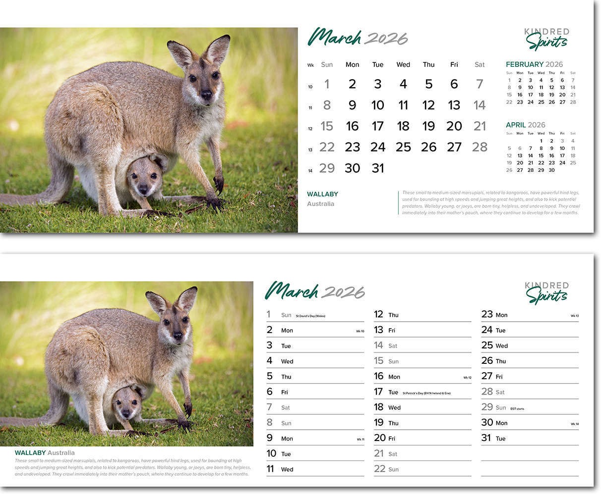 Kindred Spirits Desk Calendar