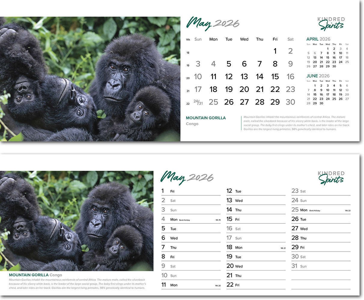 Kindred Spirits Desk Calendar