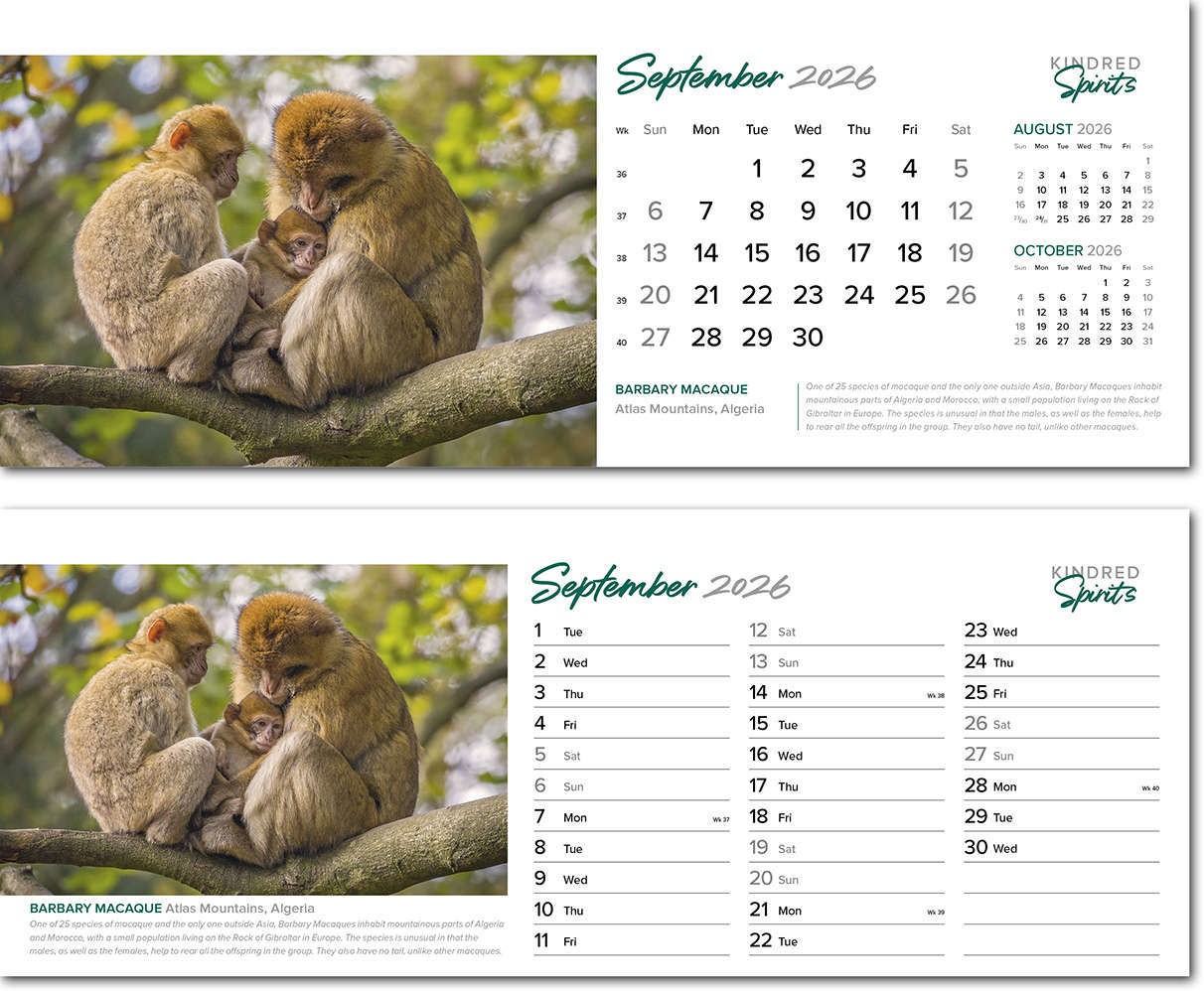 Kindred Spirits Desk Calendar