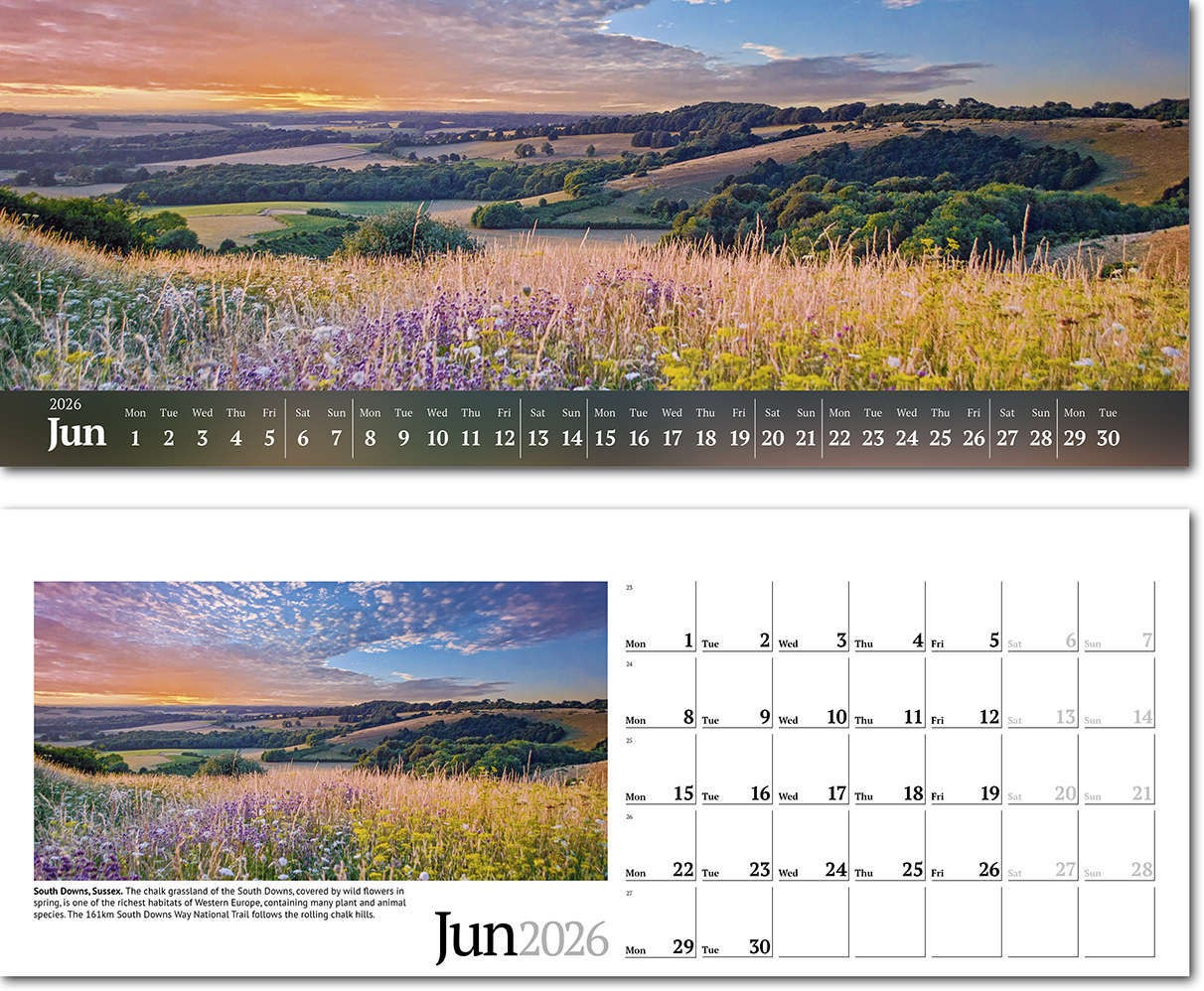 Wild Britain Note Station Desk Calendar 