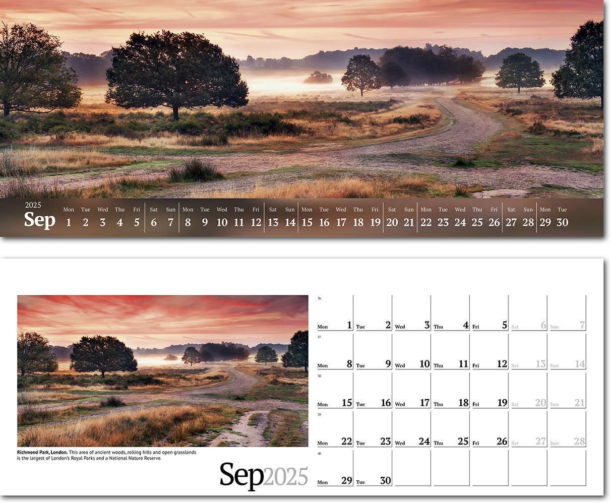 Wild Britain Premium Lined Easel Desk Calendar