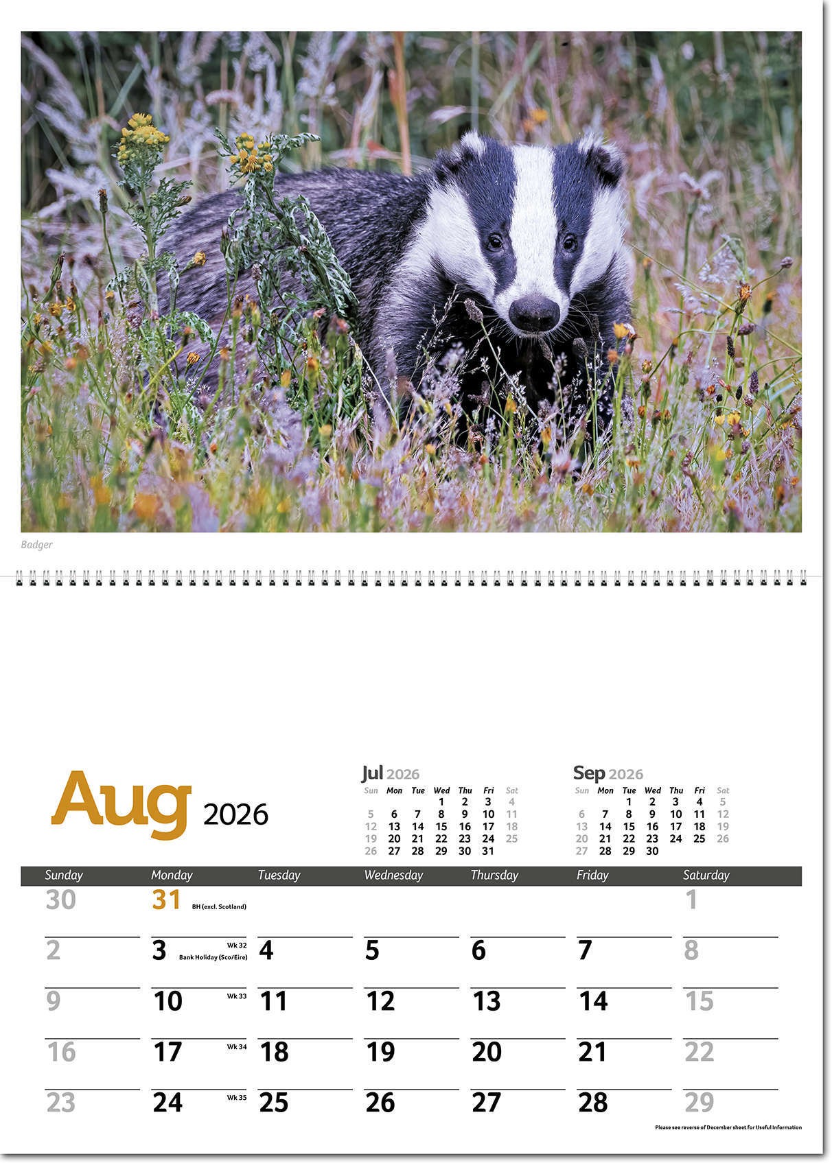 Wildlife in Britain Postage Saver Calendar