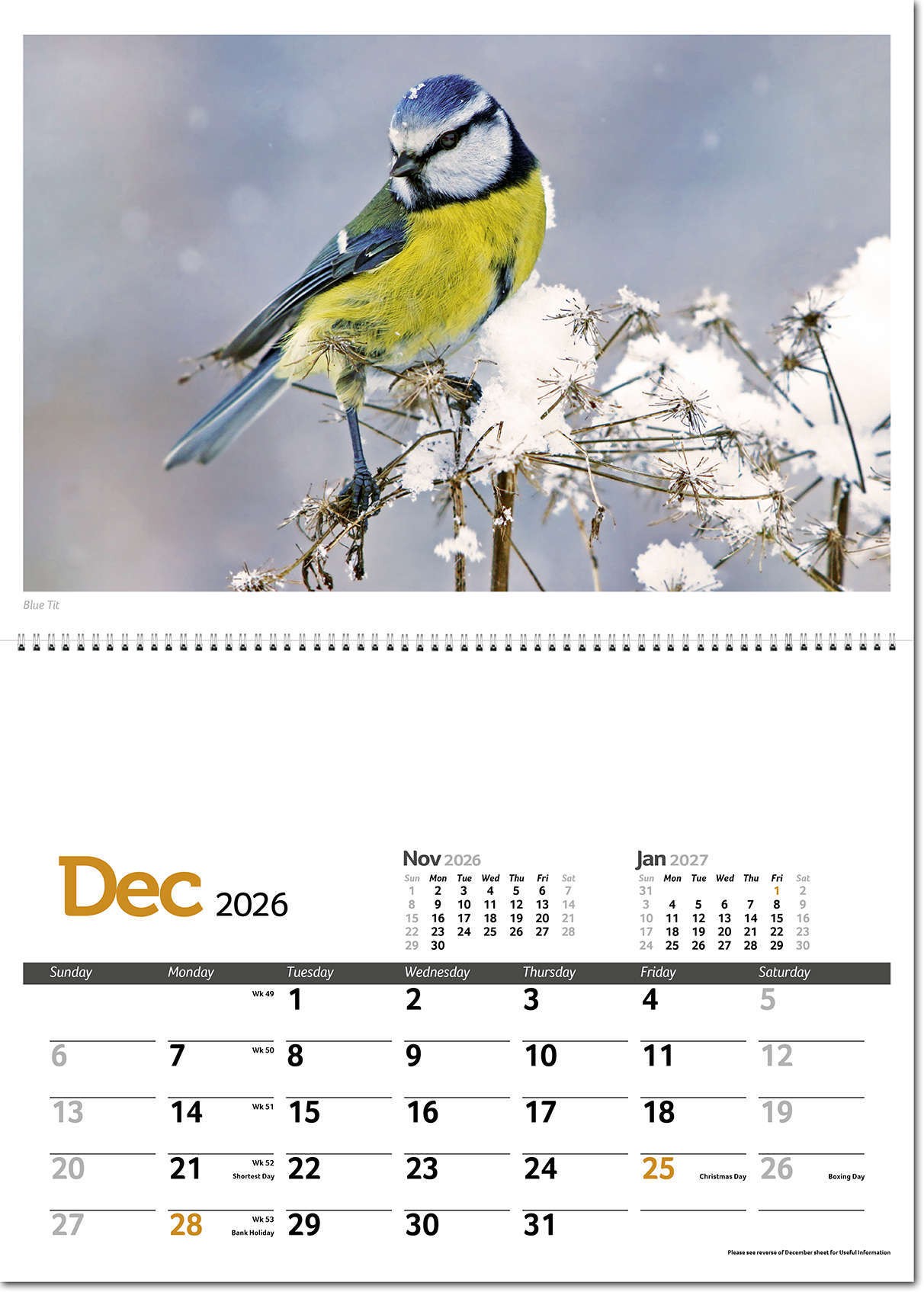 Wildlife in Britain Postage Saver Calendar