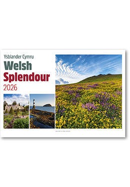 Welsh Splendour Postage Saver Calendar