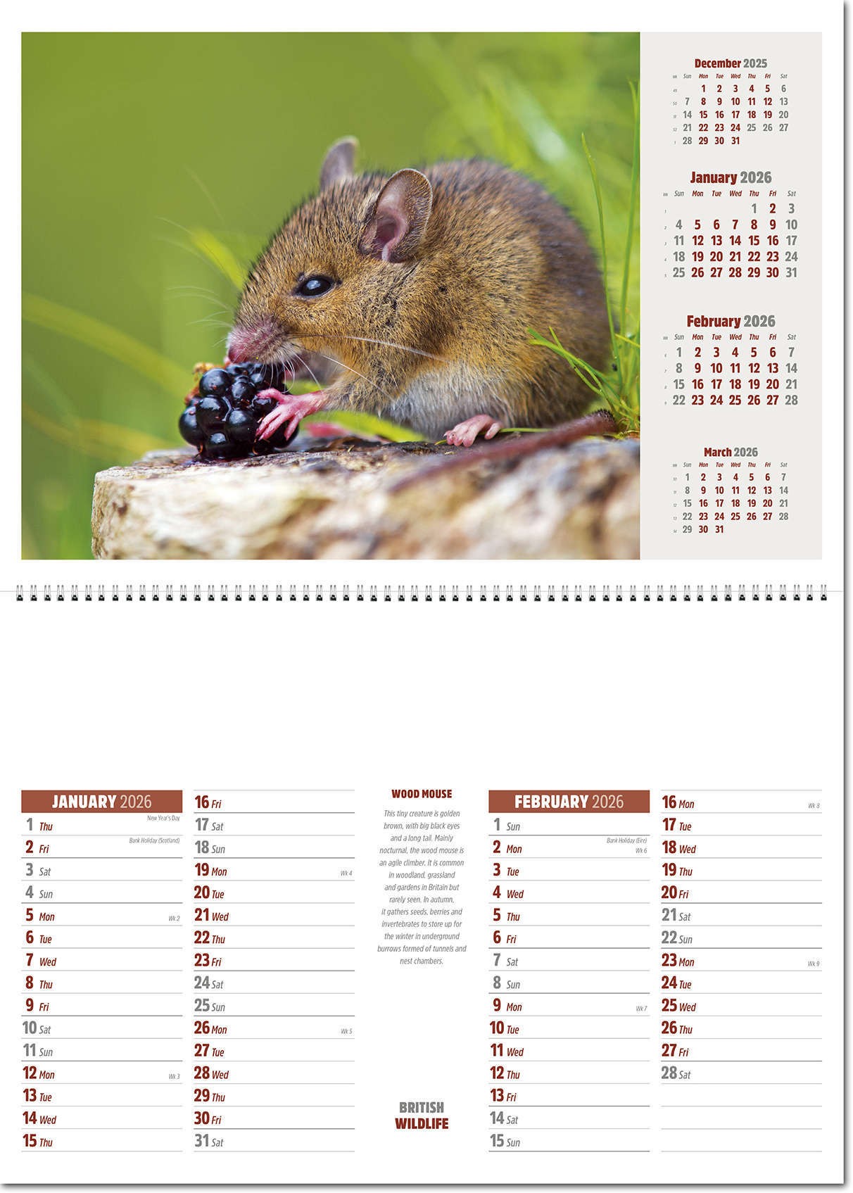 British Wildlife Postage Saver Calendar