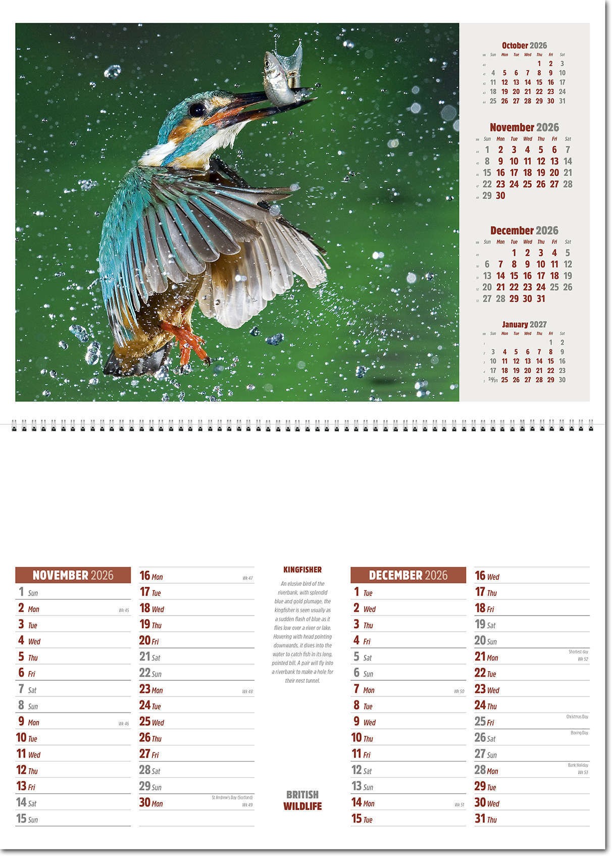 British Wildlife Postage Saver Calendar