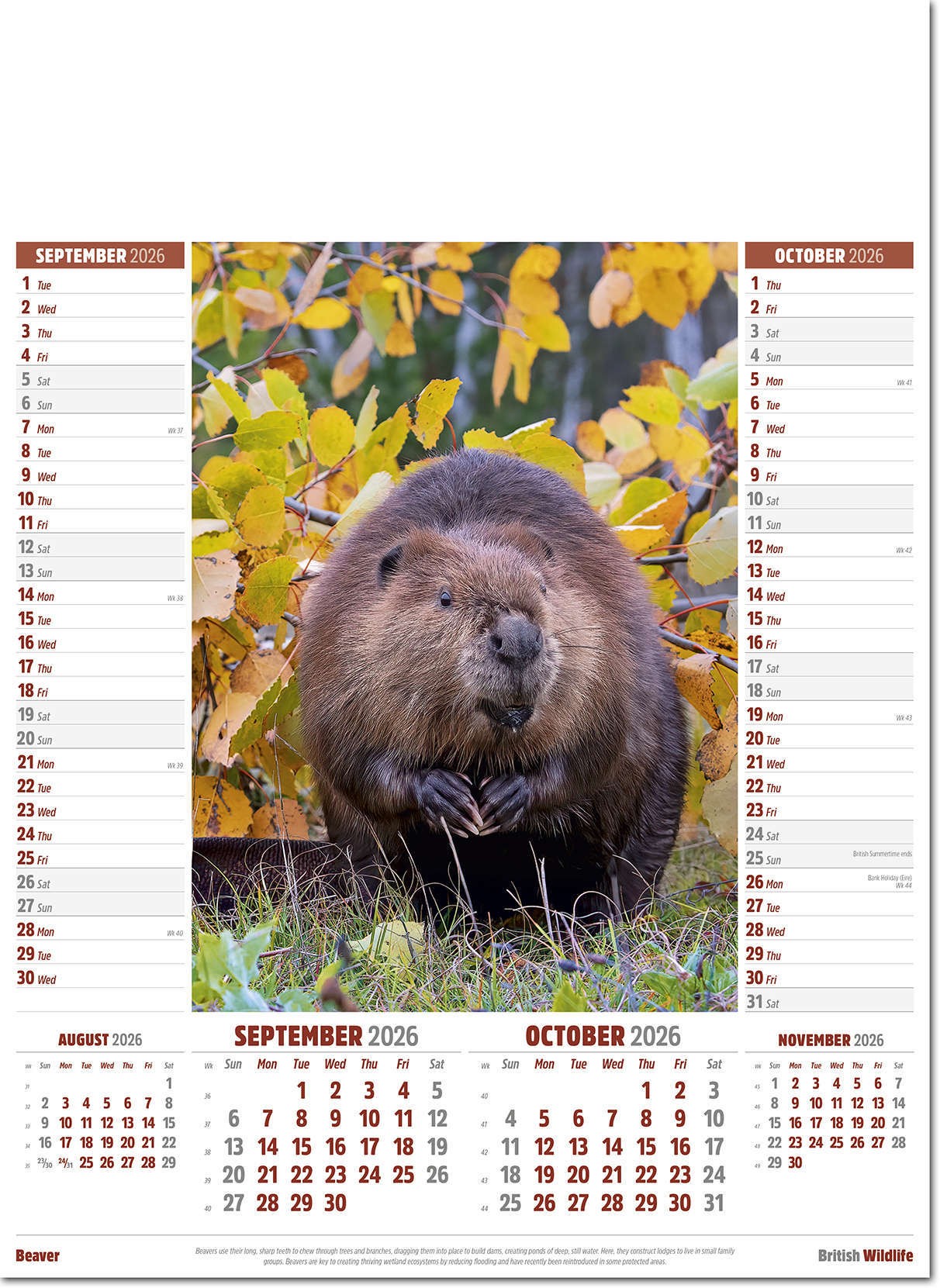 British Wildlife Calendar