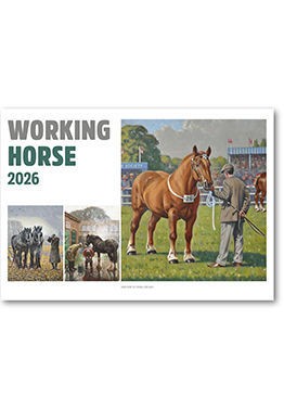Working Horse Postage Saver Calendar