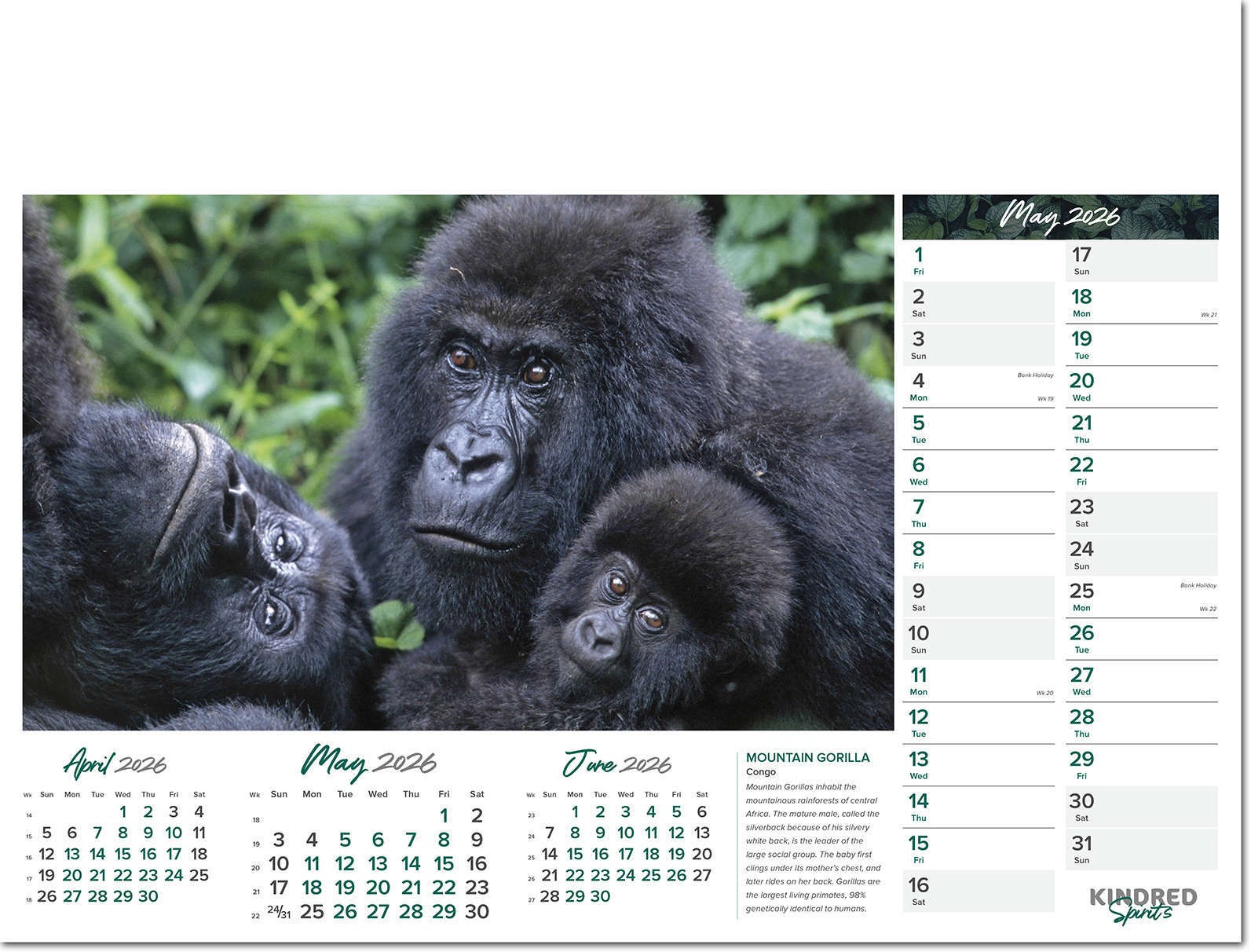 Kindred Spirits Calendar