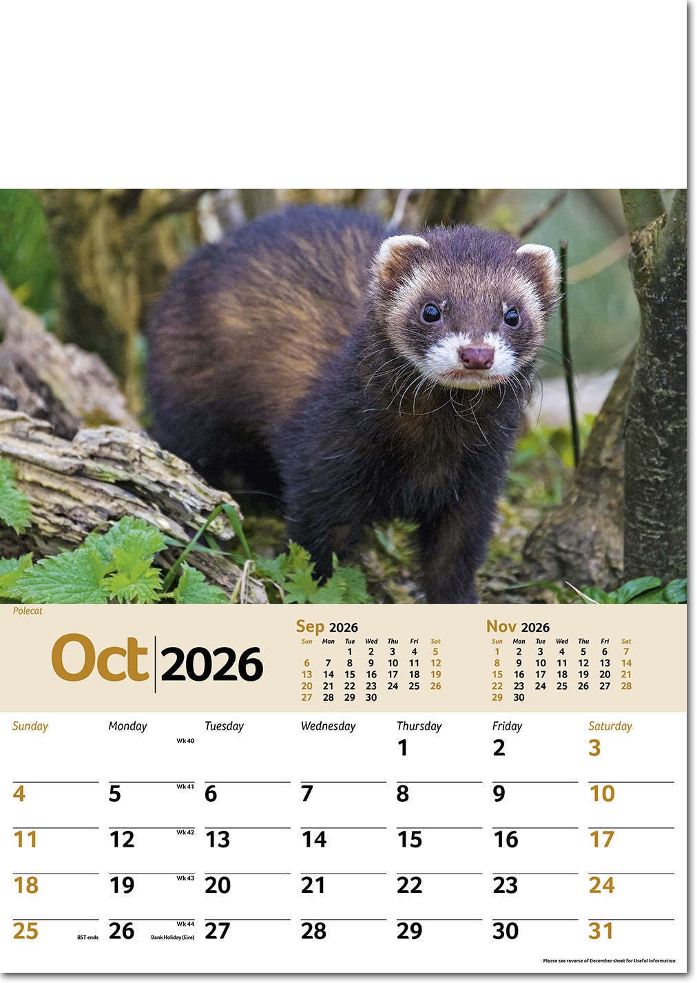 Wildlife Memo Calendar