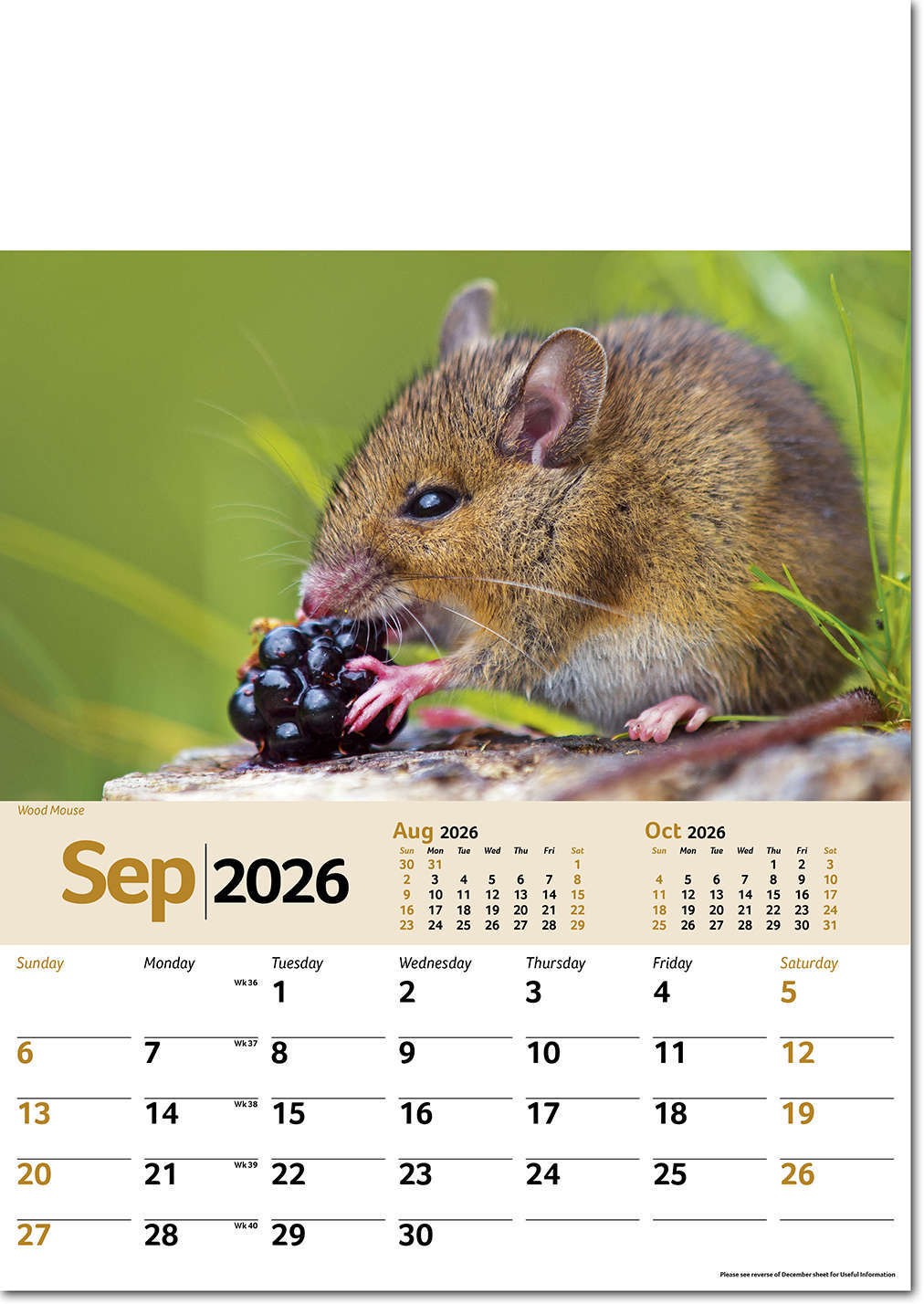 Wildlife Memo Calendar