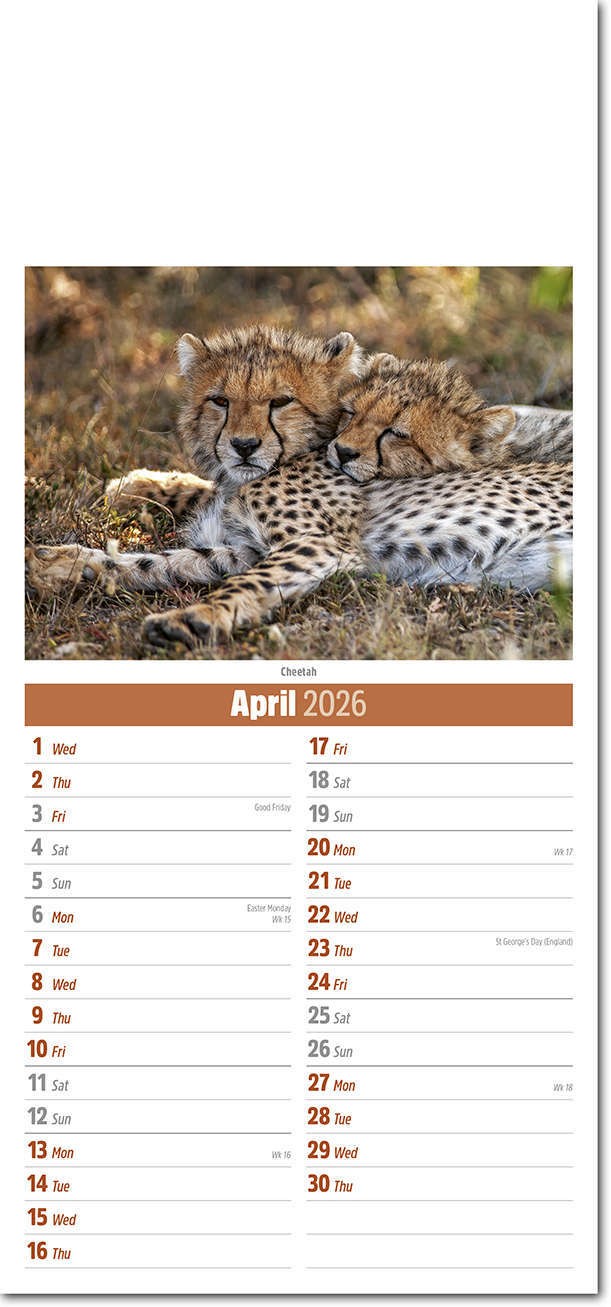 Slimline World Wildlife Compact Calendar